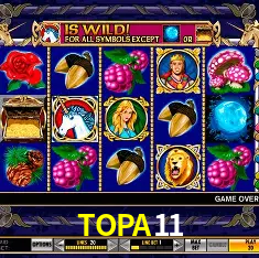 TOPA11 login