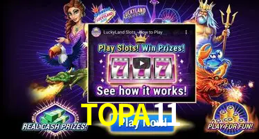TOPA11 VIP Program Logo