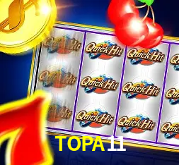 Níveis VIP TOPA11
